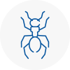Ant Removals In Yapton