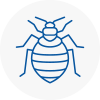 Bed Bug Extermination In Yapton