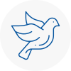 Bird Prevention Yapton