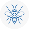Yapton Hornet Nest Removals