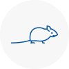 Mice Exterminators In Yapton