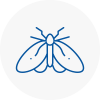 Moth Control Specialists In Yapton