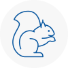 Yapton Rodent Removals