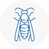 Yapton Wasp Nest Removal